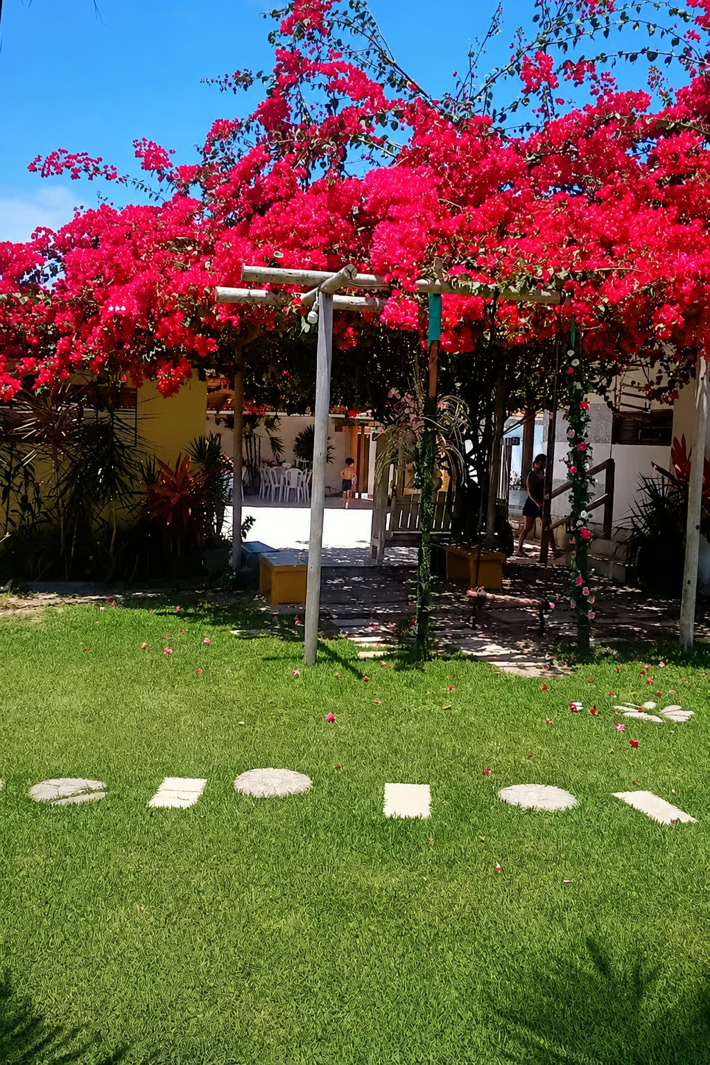 Pergolado de madeira coberto por flores vermelhas sobre o gramado do Studio29